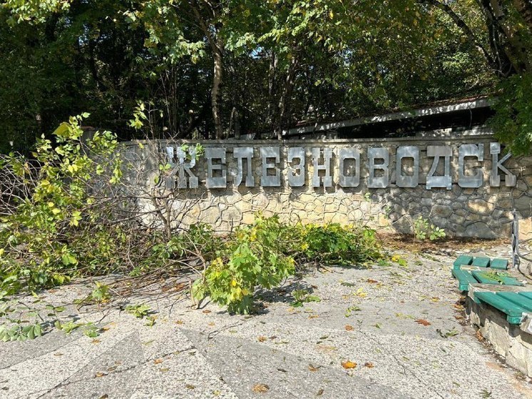 Более 2,5 тысяч деревьев окронировали в Железноводске