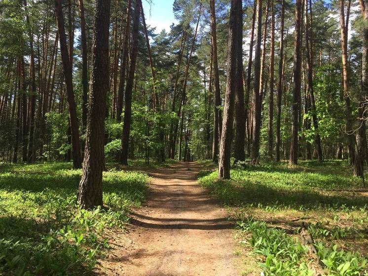 Запрет на посещение леса у полигона под Рязанью могут продлить до весны 2024 года