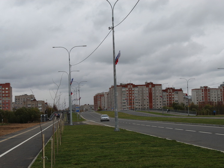 Цель достигнута: в Вологде высадили 2,5 тысяч деревьев