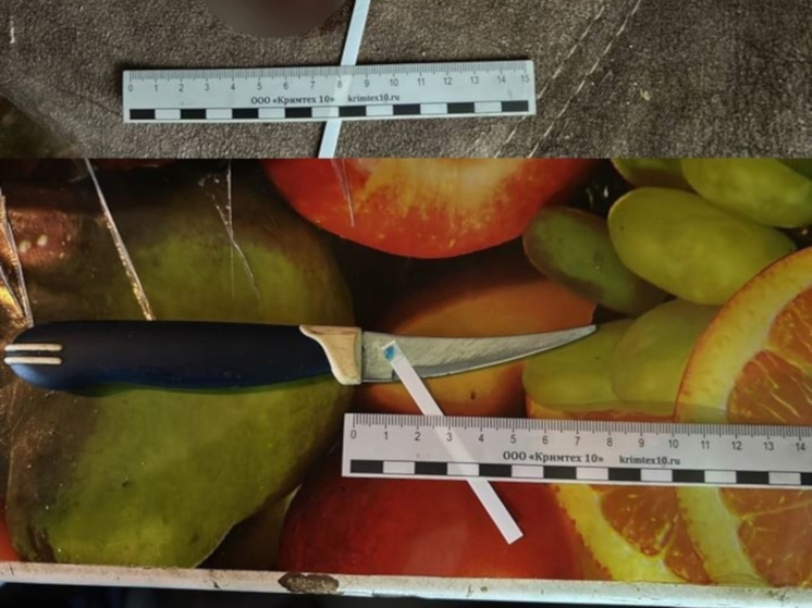 Следком арестовал негостеприимную жительницу Петрозаводска