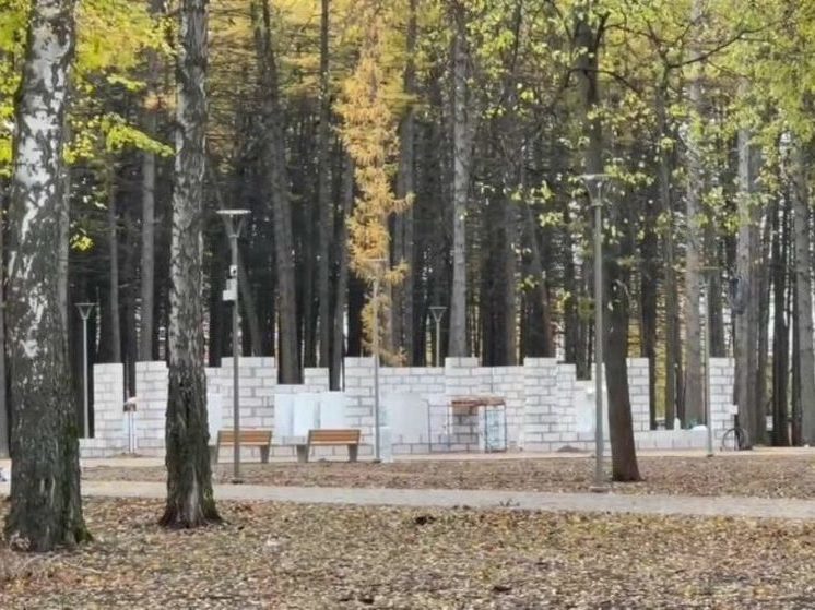 В Новомосковске строительство кафе в Березовой роще нарушает законодательство