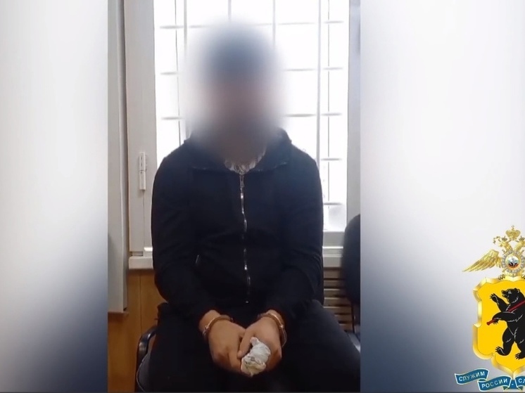 Полицейские в Тверской области задерживали мужчину, ударившего соперника ножом-мачете в другом регионе