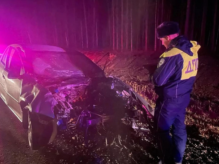 Три человека попали в больницу из-за аварии под Богдановичем