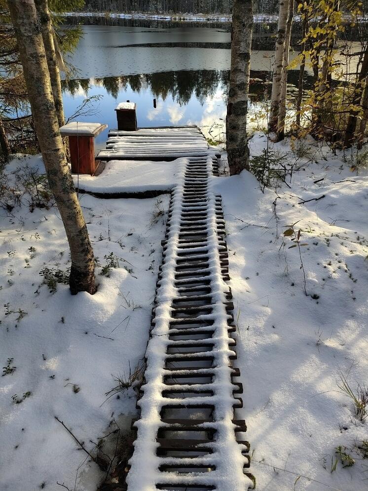 Жители поселка под Петрозаводском поделились фото заснеженного леса