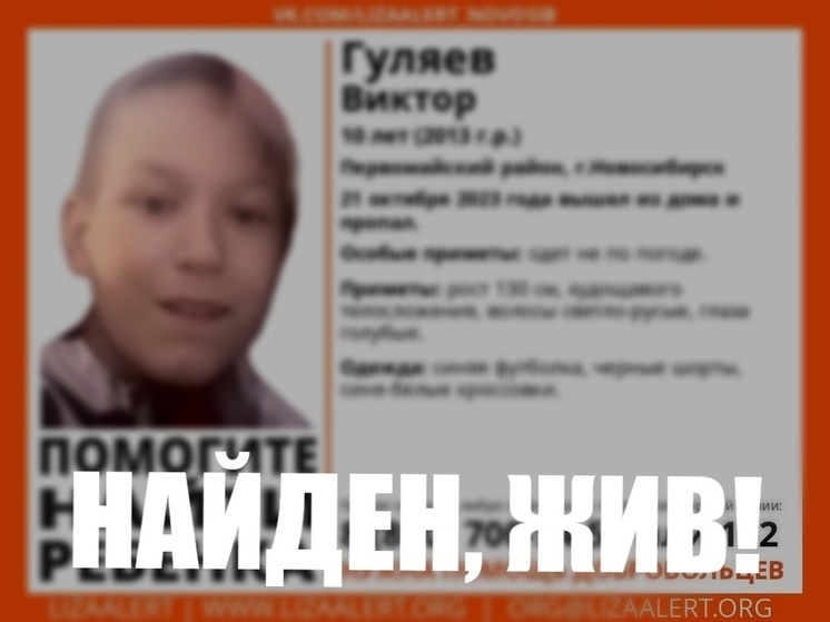 В Новосибирске нашли живым пропавшего 10-летнего мальчика