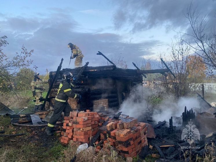 Более 120 пожаров в банях произошло в Новгородской области с начала года