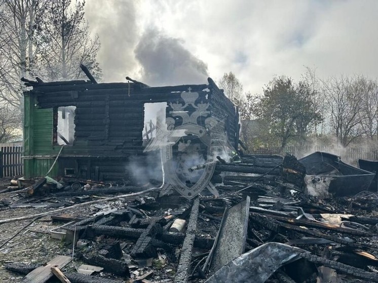 При пожаре в Парфеньевском районе погиб 80-летний дедушка