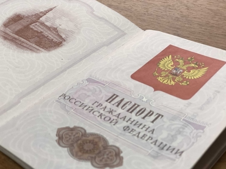 Вместо бумажного паспорта вологжане могут предъявлять его электронную версию