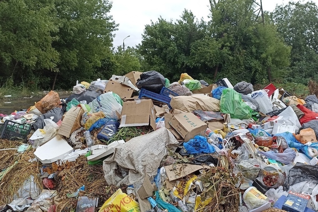 В ДНР запланировано строительство трех комплексов по переработке отходов