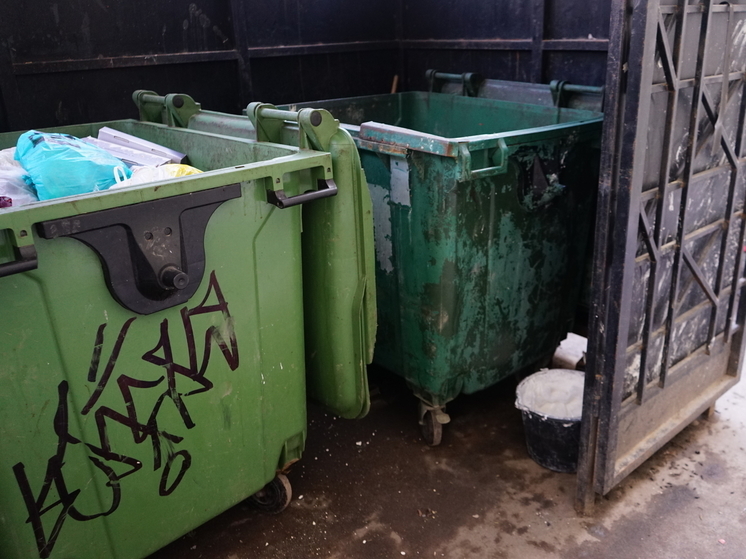 Регоператора «Экосити» оштрафовали за невывоз мусора в Малой Вишере