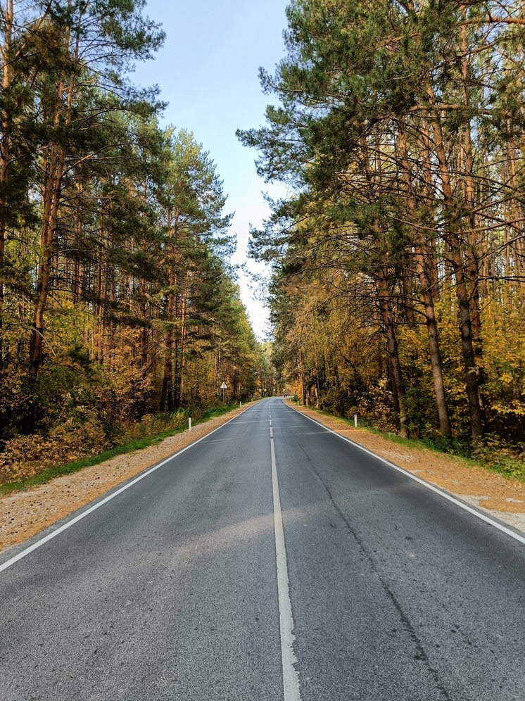 В Татарстане на одного жителя приходится порядка 280 деревьев