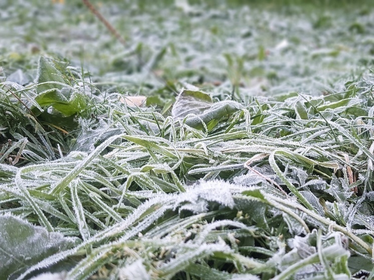 Внезапный и сильный мороз атаковал Карелию