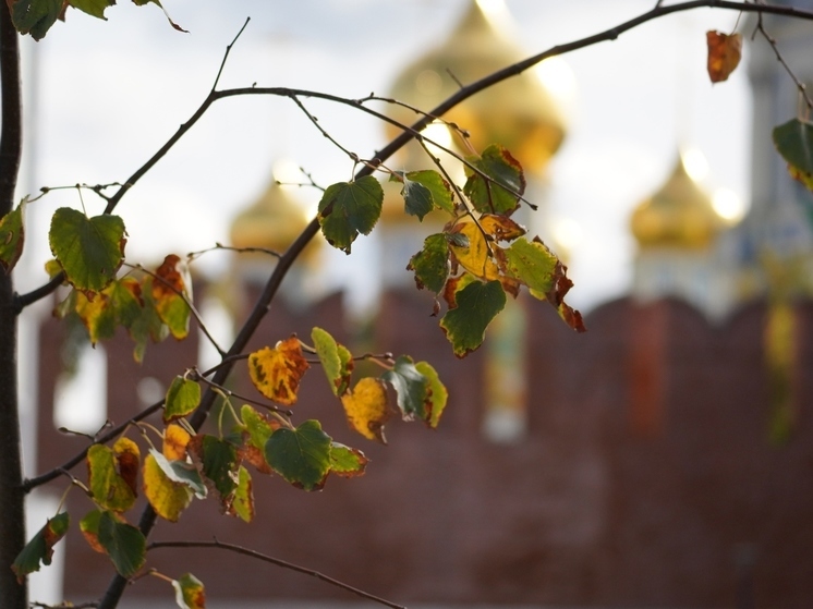 Врач рассказала, как тулякам контролировать сезонные обострения
