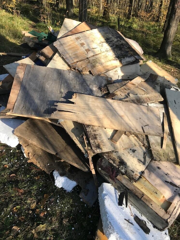 Большую мусорную кучу организовали анонимы в лесополосе в Петрозаводске