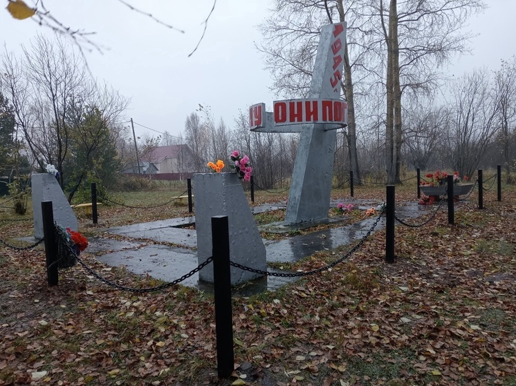 В деревне под Архангельском сельчане с моряками провели субботник
