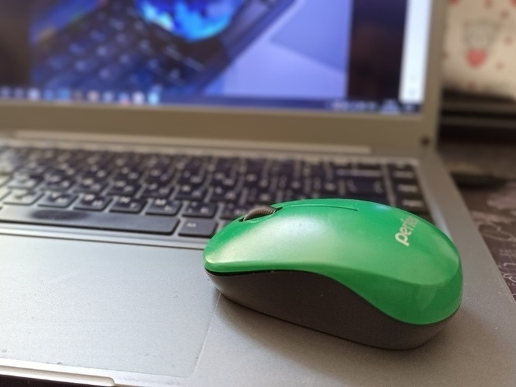 В ДНР планируют разработать сайт центра “Мои документы”