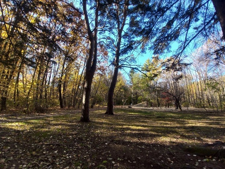 Тельцов ждут дополнительные доходы, а Рыб - новый роман