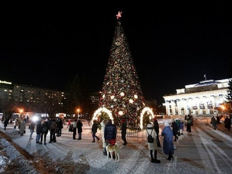 В Новосибирске назвали дату установки центральной новогодней ёлки