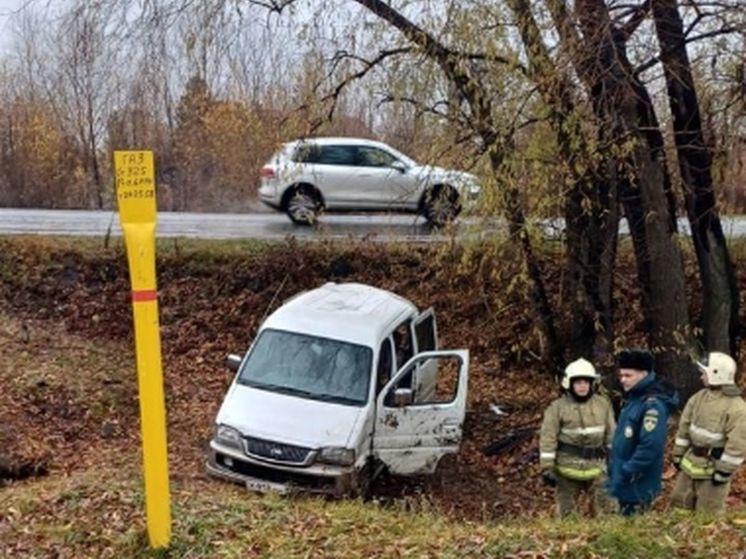 Трое детей пострадали в аварии с вылетевшей в кювет иномаркой на окраине Омска