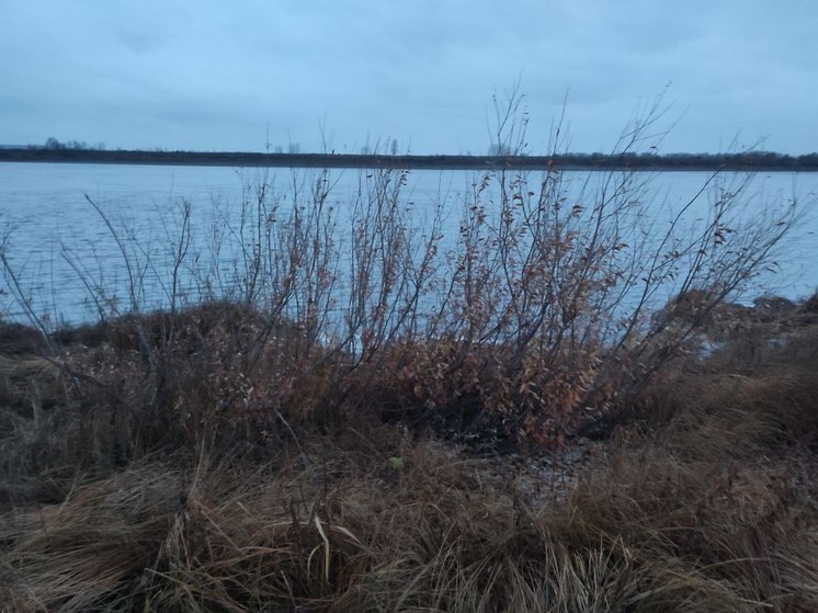 Под Ноябрьском спасли застрявших на грунтовой дороге рыбаков
