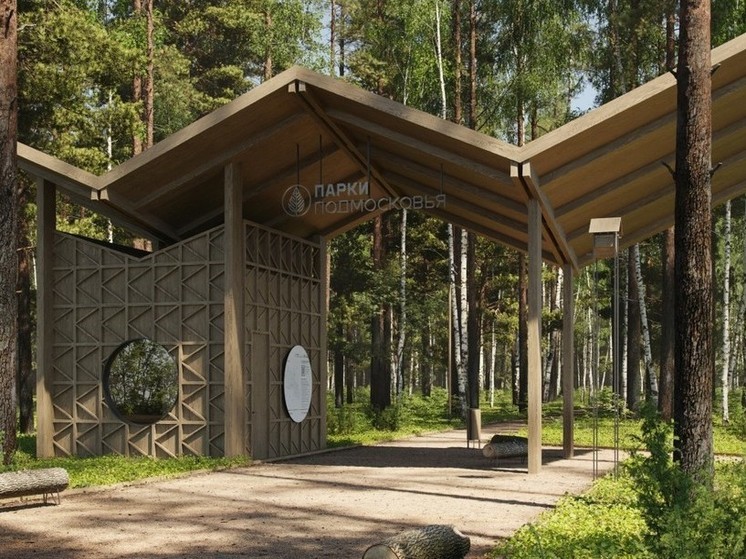 В Подмосковье после благоустройства открыли Томилинский лесопарк