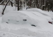 По информации главного специалиста московского Метеобюро Татьяны Поздняковой, временный снежный покров до 10 сантиметров может появиться в Москве к утру субботы