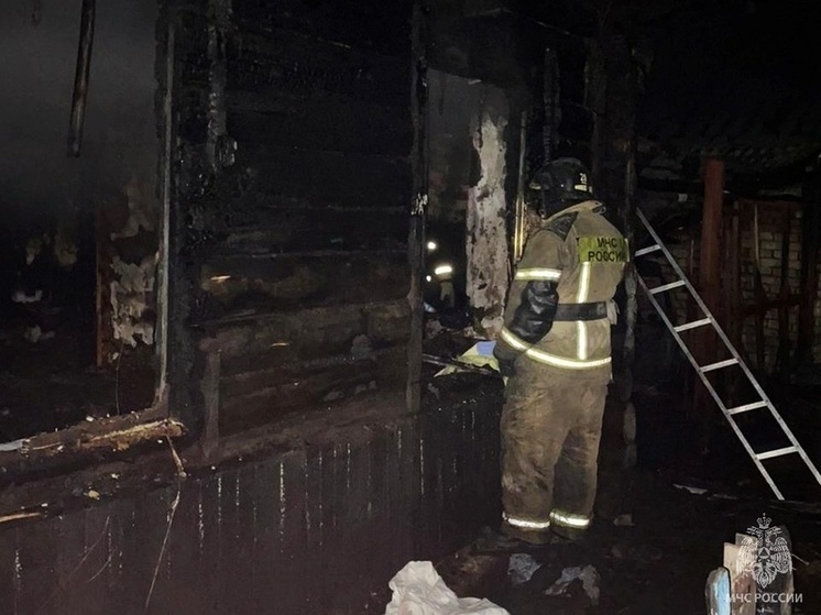 В Бийске при пожаре погибли женщина и трехлетний ребенок