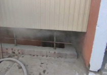 Днем 23 октября по улице Радикальцева в столице Бурятии произошел пожар в жилом многоквартирном доме