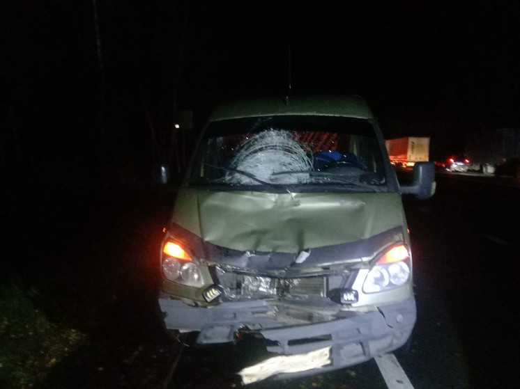 В Шиловском районе 46-летний пешеход погиб после наезда автобуса и грузовика