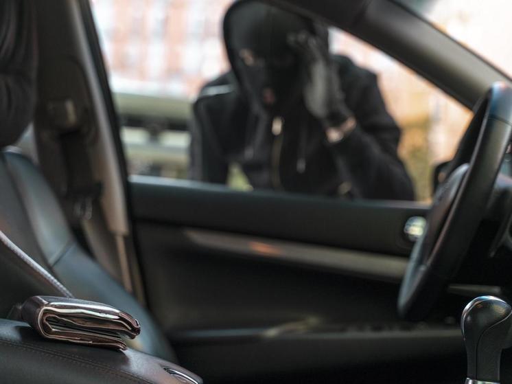 Брянский суд на шесть лет отправил в колонию автоворишку