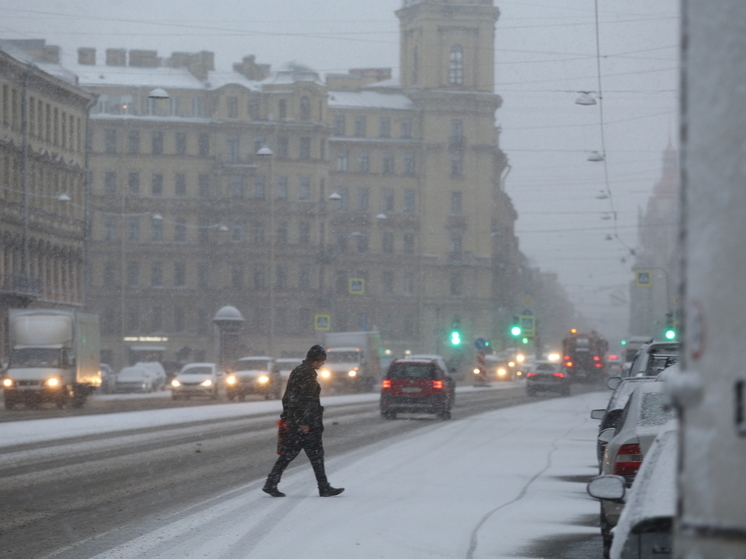 Метеоролог Шувалов пообещал петербуржцам похолодание до -10 градусов и снег