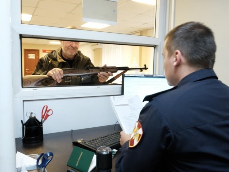 В Ярославской области за 9 месяцев изъяли тысячу «стволов»