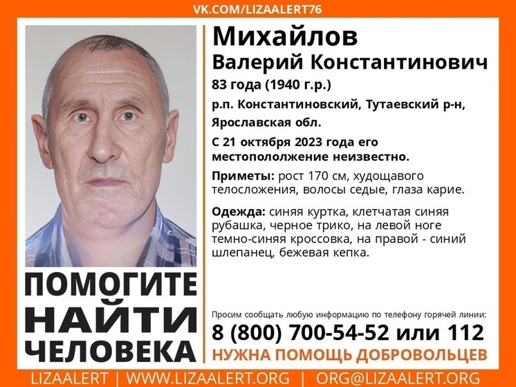 Пенсионер в разной обуви потерялся в Ярославской области