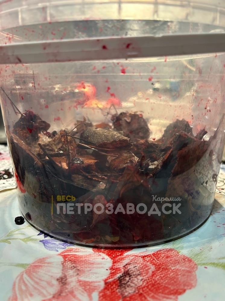 Продавец на рынке в Петрозаводске подсунул покупательнице ягоды с неприятным подарком