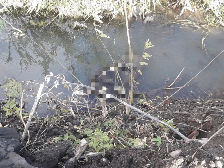 В Сеймском округе Курска из технического водоема достали тело мужчины