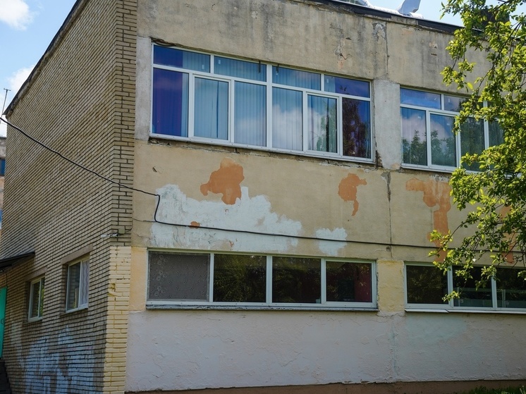 В Новомосковске после падения из школьного окна скончался подросток