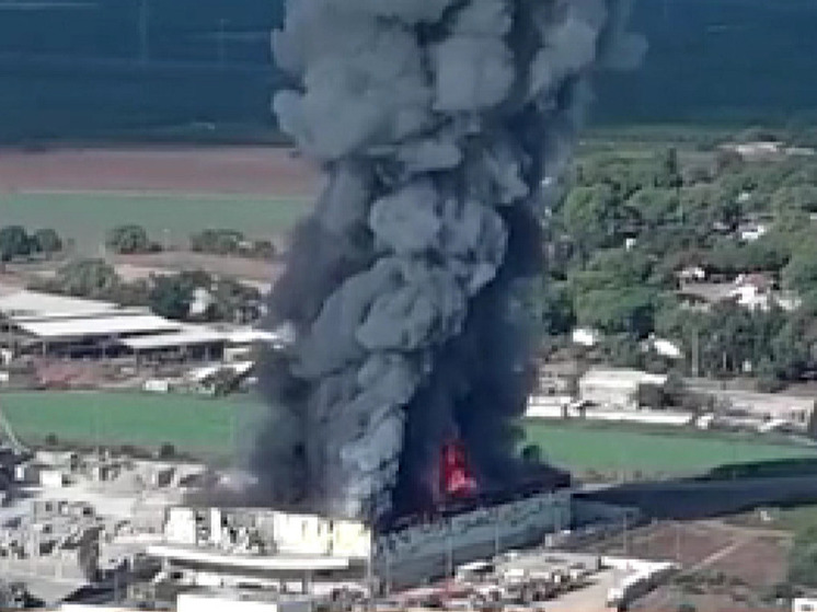 В Израиле объявили об уничтожении пяти командиров ХАМАС