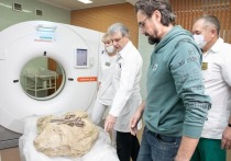 Специалисты кемеровского диагностического центра приняли необычного «пациента», возраст которого – 100 миллион лет