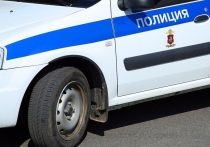 Водитель такси из Таджикистана задержан сотрудниками полиции за растление 9-летнего мальчика