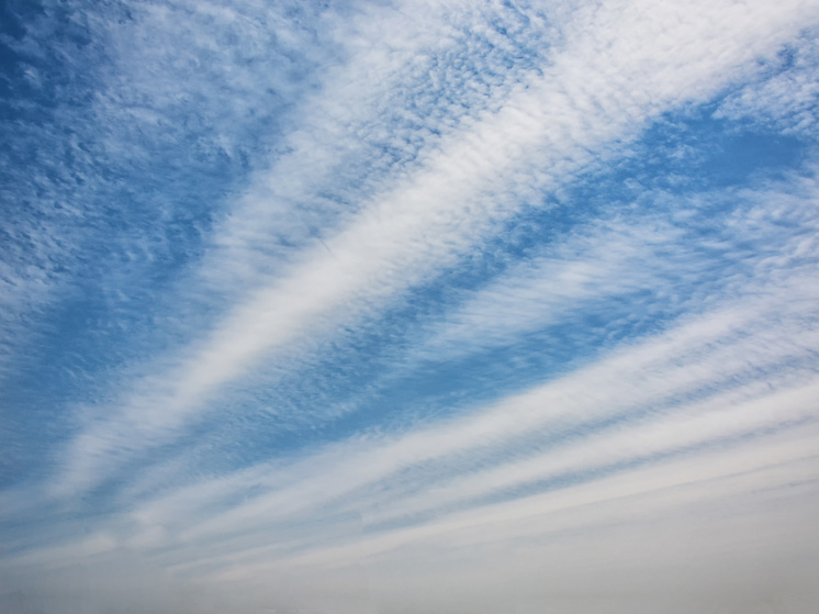 Губернатор Голубев: в Ростове-на-Дону сработала ПВО