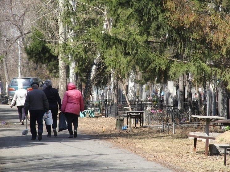 Омскстат: в Омской области продолжают снижаться и рождаемость, и смертность