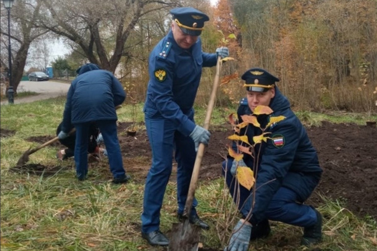 В новгородском парке 30-летия Октября появилась «прокурорская» аллея - МК  Великий Новгород