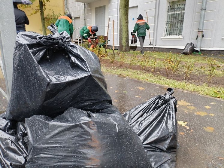 Свалку отходов ликвидируют в Апатитах по иску прокуратуры
