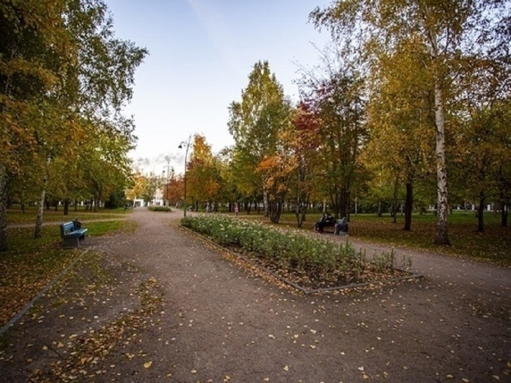 В Новосибирской области потеплеет до +10 градусов 25 октября