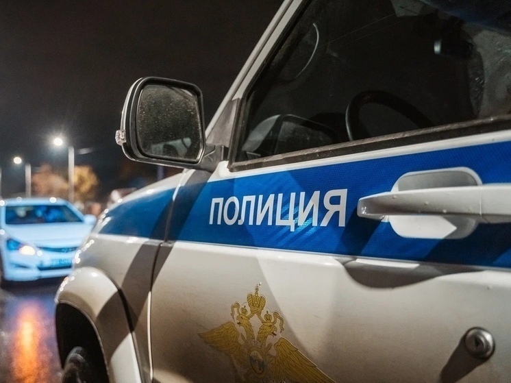 В Твери пойманы серийные гаражные воры