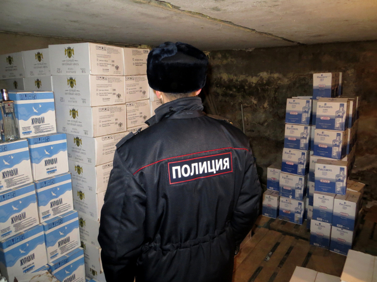 В тульском МВД раскрыли детали инцидента с накробароном
