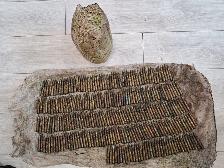 УФСБ России по Смоленской области возбудило уголовное дело в отношении торговца оружием