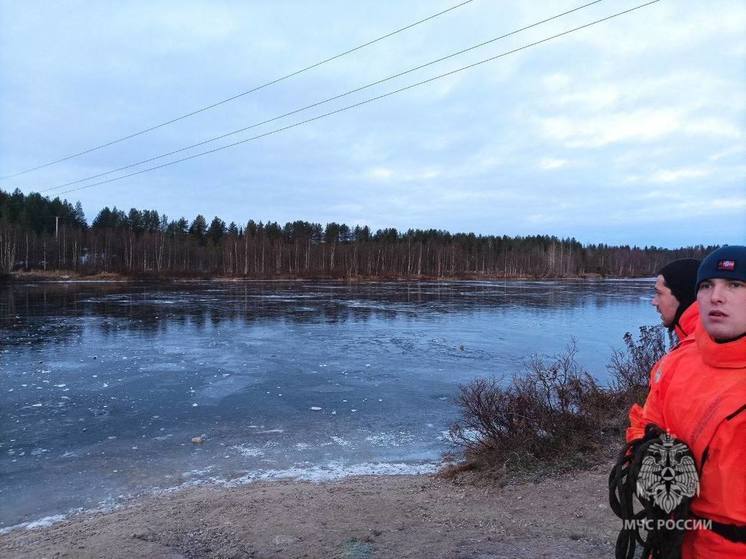 В Алакуртти обнаружили тело утонувшего ребенка