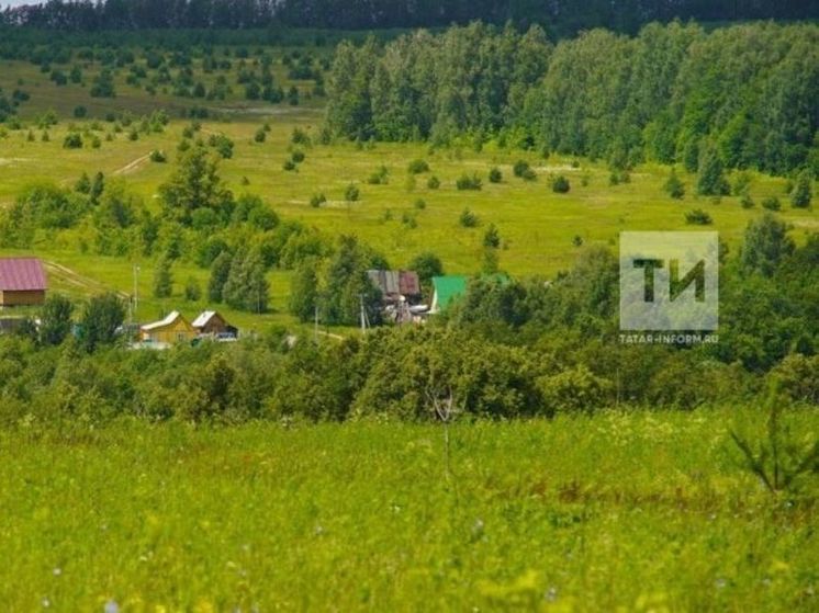 В Татарстане хотят принять закон о бесплатной выдаче земли участникам СВО