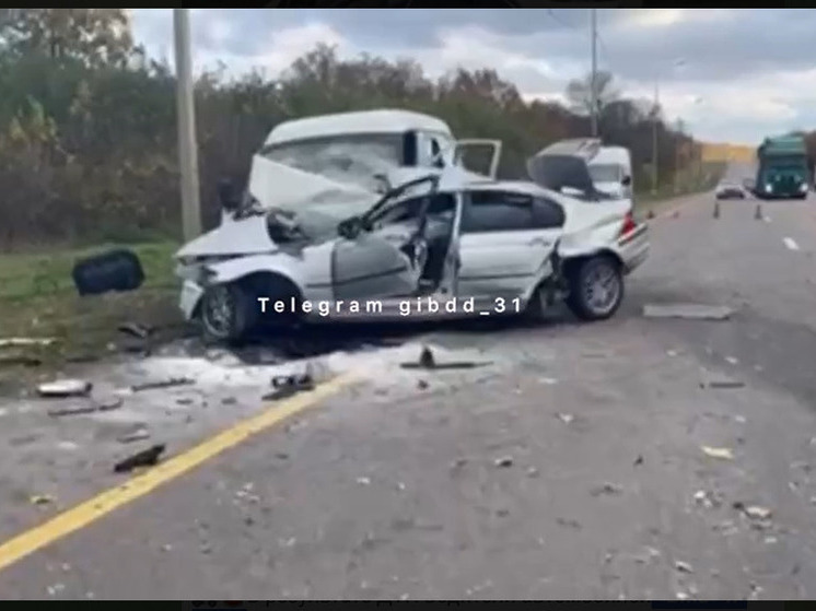 В Белгородской области двое человек погибли и двое пострадали в массовом ДТП